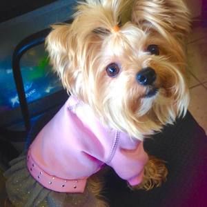 Meet your Posher, Mary